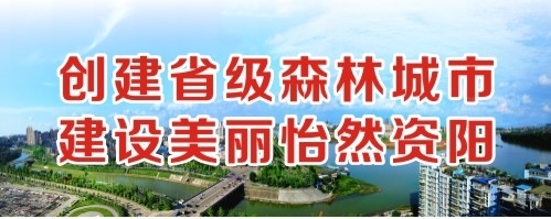 俺去日逼创建省级森林城市 建设美丽怡然资阳